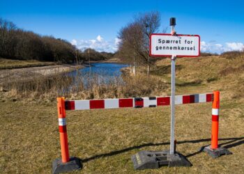 God ide at stoppe her, hvis man ikke er til fods...