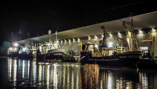 Travlhed ved Hirtshals Fiskeauktion. Foto (arkiv): Dan Sejbjerg