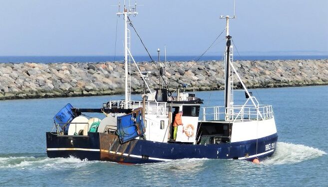 HG 31 Sedinah anløber her for et par år siden fuldt lastet og i magsvejr Hirtshals Havn. Foto (arkiv): Preben Andersen.