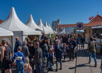 Naturmødet 2019. Foto: Elling.
