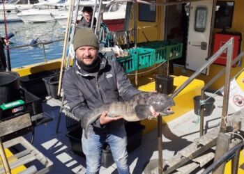 Stolt lystfisker med flot havkat. Foto: Mikael Jensen.