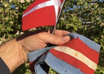 Frihedskaemperbind Dannebrog
