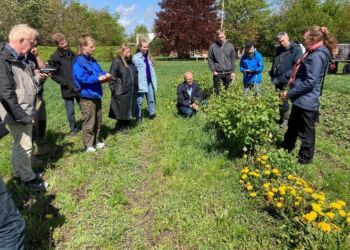 Hanne Lindhard fra Hortiadvice fortæller om solbærdyrknign og insekters betydning for skadedyrsbekæmpere. Foto: Food & Bio Cluster.