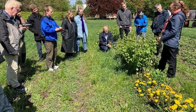 Hanne Lindhard fra Hortiadvice fortæller om solbærdyrknign og insekters betydning for skadedyrsbekæmpere. Foto: Food & Bio Cluster.