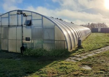 Plantage og drivhus i Horne venter kun på din virkelyst... foto: Mads Bruun