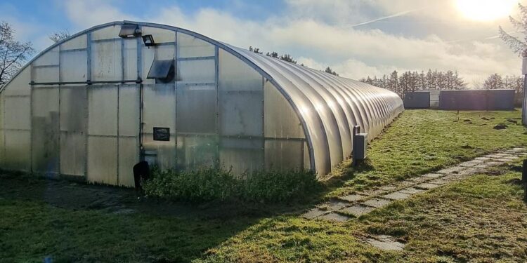 Plantage og drivhus i Horne venter kun på din virkelyst... foto: Mads Bruun