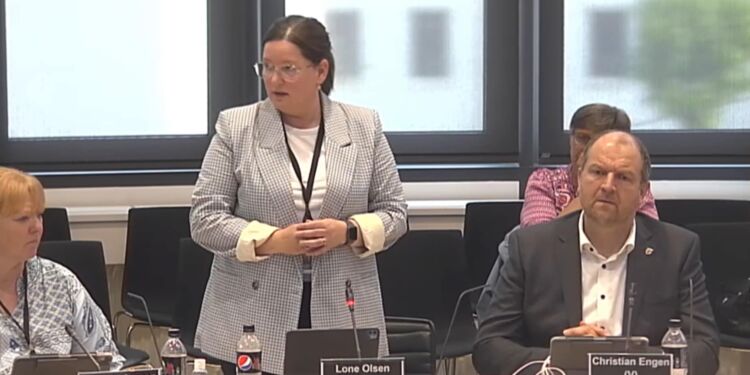 Lone Olsen fra Venstre har ordet ved et byrådsmøde i Hjørring Kommune.