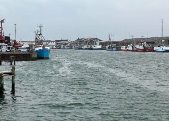 Olieforureningen ses her mandag som striber på overfladen af vandet hos Hirtshals Havn. Foto: Niels Skipper.