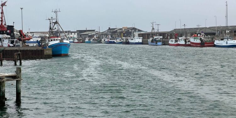 Olieforureningen ses her mandag som striber på overfladen af vandet hos Hirtshals Havn. Foto: Niels Skipper.
