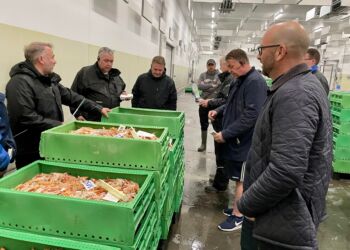 Rasmus Prehn på Hirtshals Fiskeauktion. Foto: Arkiv.