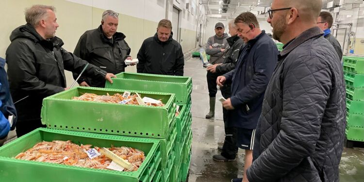 Rasmus Prehn på Hirtshals Fiskeauktion. Foto: Arkiv.