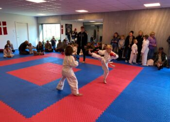 Foto (arkiv): TOKON Hjørring Karate.