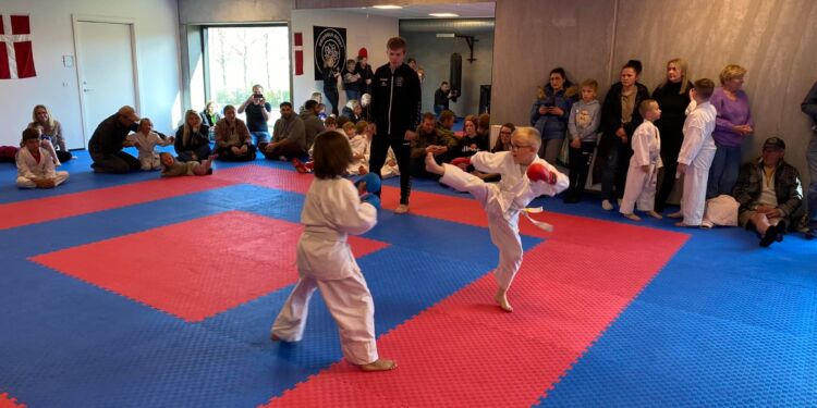 Foto (arkiv): TOKON Hjørring Karate.