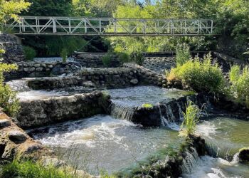 Fisketrappen ved Bindslev Gl. Elværk. Foto: Per Frank Paulsen.