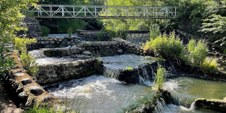 Fisketrappen ved Bindslev Gl. Elværk. Foto: Per Frank Paulsen.
