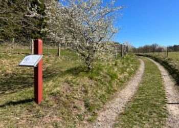 Foto (arkiv): Niels Skipper.