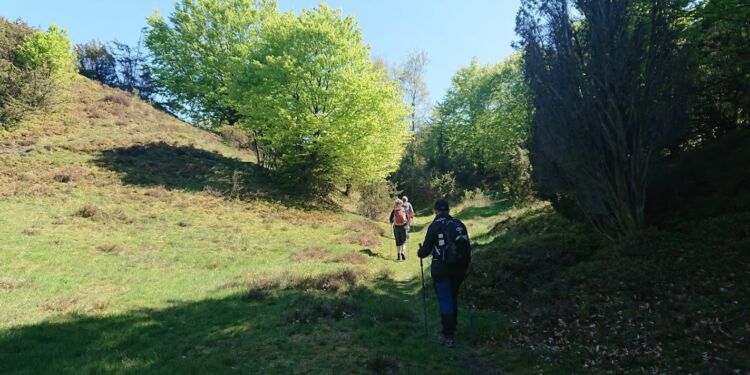 Foto (arkiv): Naturpark Tolne.