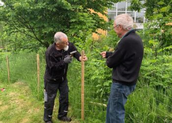 To af "De positive" i Bindslev. Foto: Arkiv.