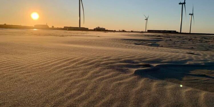 Vindmøllerne på Hirtshals Havn set fra Kjul Strand. Foto (Arkiv): Niels Skipper.
