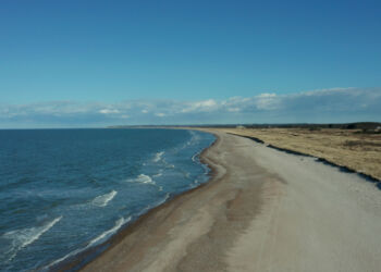 Foto: Jonas Lysholdt Ejderskov / WWF Verdensnaturfonden .