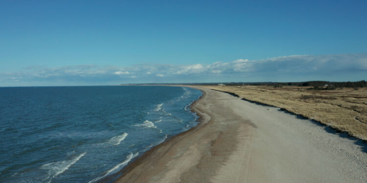 Foto: Jonas Lysholdt Ejderskov / WWF Verdensnaturfonden .