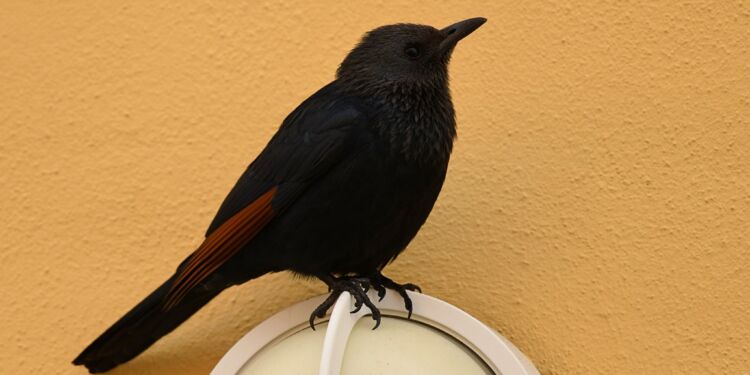 Foto: Jonna Andreasen.