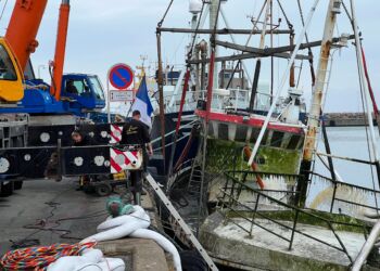Fio er hurtigt blevet grøn i havnens plumrede og sommerlune vand. Foto: Niels Skipper.