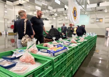 Masser af lære fisk og skaldyr ved fiskeauktion hos Lions i Hirtshals.