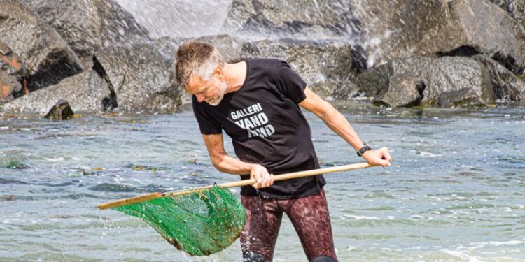 Undervandsfotograf, galleriejer og rejejæger, Lars Nedergaard på udkig i det lave vand ved Lønstrup. Foto (arkiv): Torben Elling.