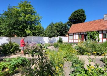 Lars Danielsen ses her i Urtehaven ved Vendsyssel Historiske Museum. Foto: VHM.