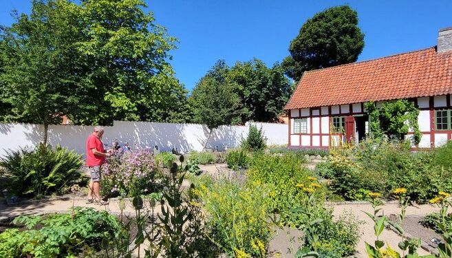 Lars Danielsen ses her i Urtehaven ved Vendsyssel Historiske Museum. Foto: VHM.
