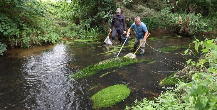 Foto (arkiv): Liver Å Lystfiskerforening.