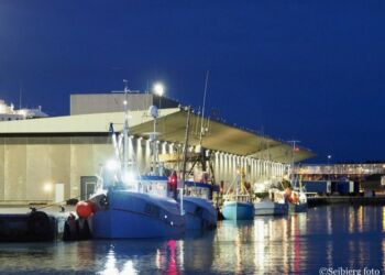 Travl aften ved auktionshallen i Hirtshals Havn. Foto (arkiv): Dan Sejbjerg.