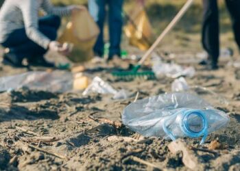 Havfald skæmmer strandene og ødelægger naturen.