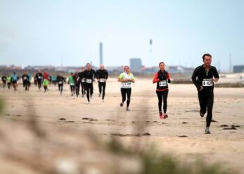 Foto (arkiv): Havstrygerne.