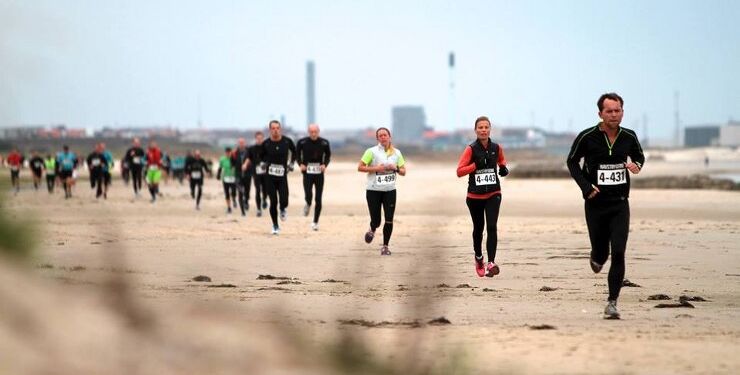 Foto (arkiv): Havstrygerne.