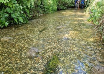 Flot gydebanke etableret af Liver Å Lystfiskerforening.