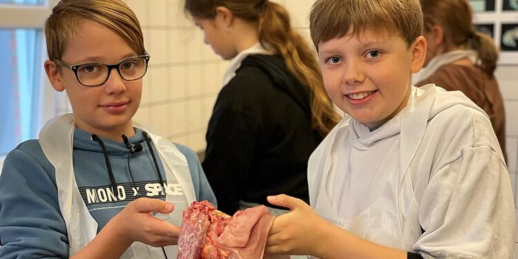 Sebastian og Andreas fik plukket deres høne og pillet indvoldene ud, selvom de ikke var meget for det.
Foto: Henriette Maj Pedersen / TV2 Nord.