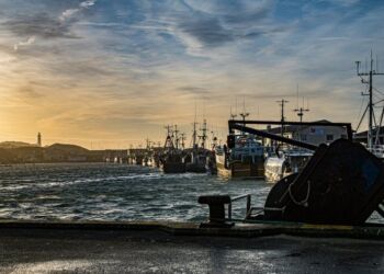 Hirtshals Havn. Foto (arkiv): Elling.