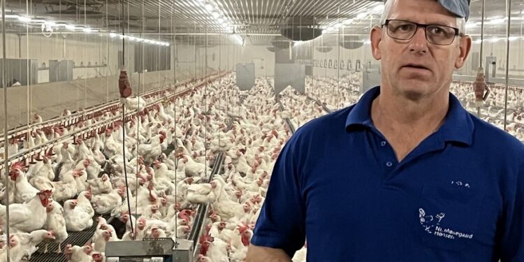 Lars-Peter Boel blandt sine 52.000 æglæggende høns.