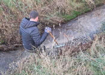 Vandpleje i et tilløb til Liver Å. Foto: Liver Å Lystfiskerforening.