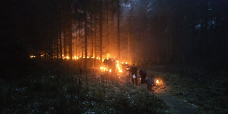 Fakler i Yxengaard i Tornby Klitplantage. Foto: Arkiv.