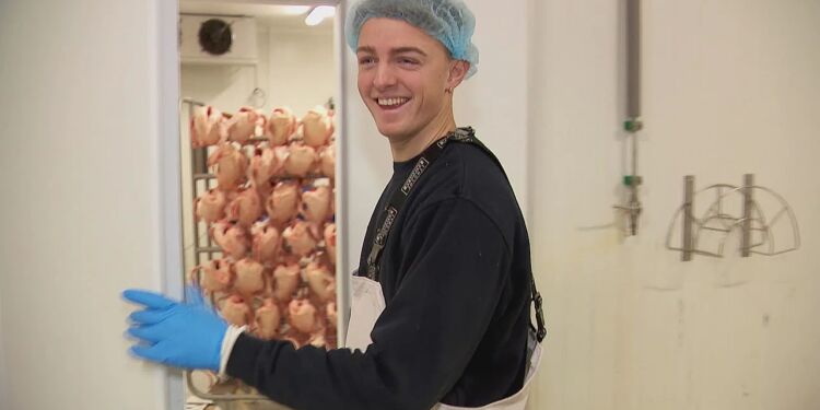 Elias Hall har travlt op til Mortensaften. Men i december har efterspørgslen på ænder været helt ekstrem. Foto: TV2 Nord.