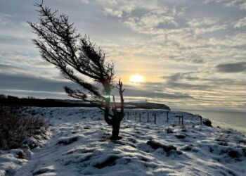 Rubjerg Knude set lørdag fra Mårup. Foto: Niels Skipper.