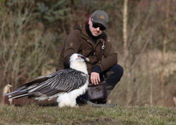 Indehaver Peter Frank Wenzel i Ørnereservatet. Foto: Arkiv.