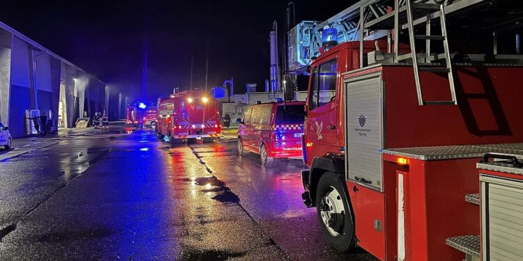 Foto: Per Frank Paulsen / TV2 Nord.