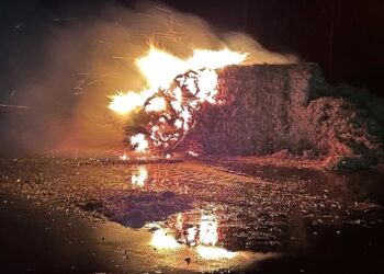 Foto: Per Frank Paulsen / TV2 Nord.