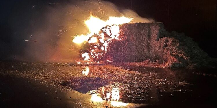 Foto: Per Frank Paulsen / TV2 Nord.