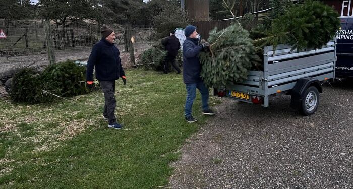 Hos Hirtshals Handel & Erhverv har man tidligere år givet juletræerne til dyrene i Fun-Park. Foto: Arkiv.