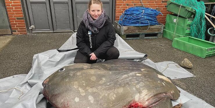 Foto: Henriette Petersen.